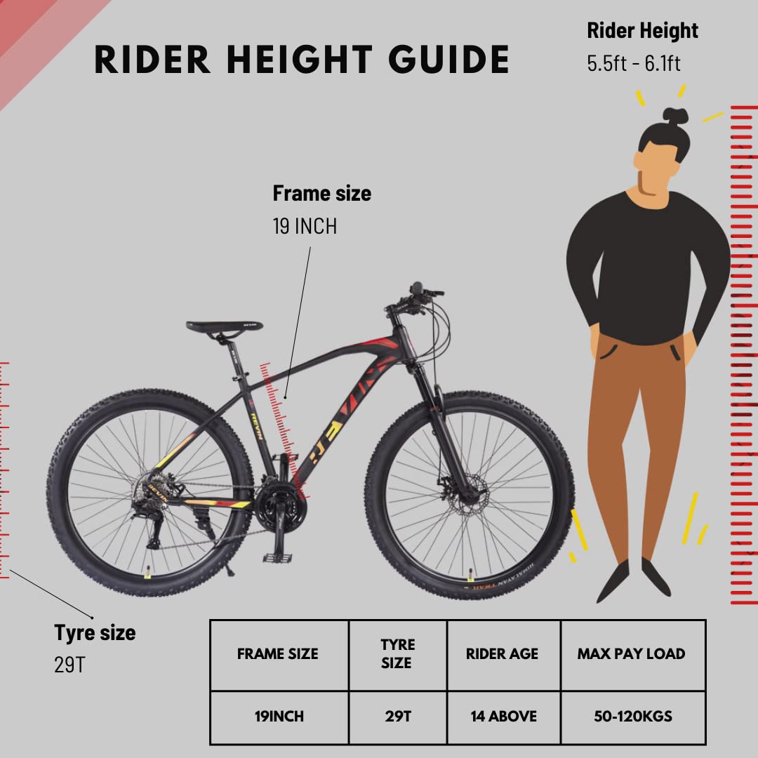 19 bike for online what height